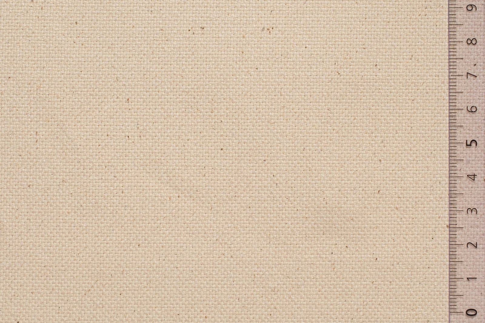 08KARVAR000ECRxxxCOT[SAILCLOTH HEAVY](ECRU)F